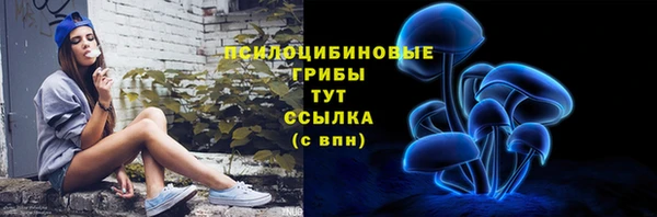 прущий лед Елабуга