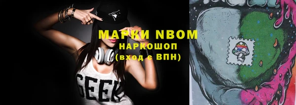 гидра Дмитров