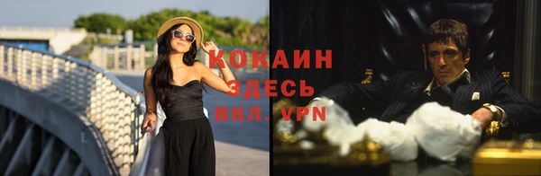 гидра Дмитров