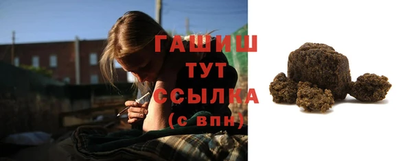 меф Ельня