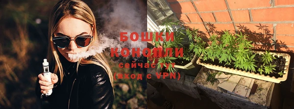 гидра Дмитров