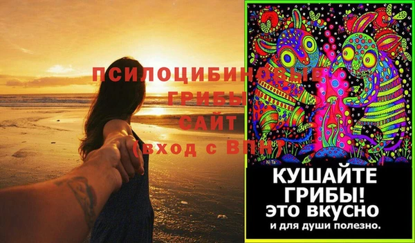 меф Ельня