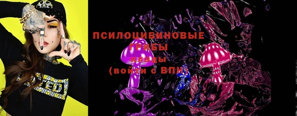 ECSTASY Дмитриев