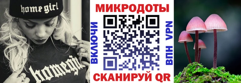 Галлюциногенные грибы MAGIC MUSHROOMS Купить закладки Кингисепп